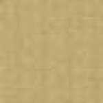 Beige Kaki