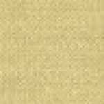 Beige Beige