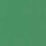 Verde Bottiglia Verde Bottiglia