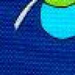 Blu Navy Blu Navy