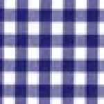 Blu Navy Vichy