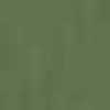 Militare Chiaro
