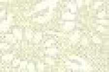 Bouquet Di Fiori / Beige