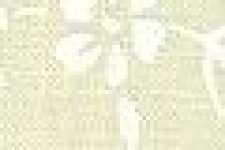 Fiore D'erba / Base Beige