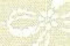 Nastro/Beige