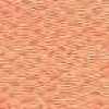 Salmone Salmone