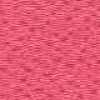 Rosa Shocking Rosa Shocking