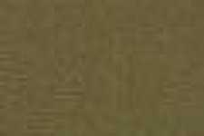 Beige Cammello