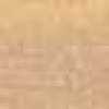 Beige Crema