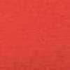 Rosso Neon Rosso Neon
