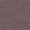 Viola Grigio