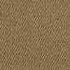 Beige Beige