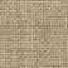 Beige Beige