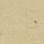 Beige Chiaro Beige Chiaro