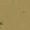 Beige Beige