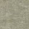 Beige Kaki