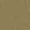Beige Beige