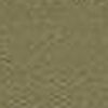 Beige Beige