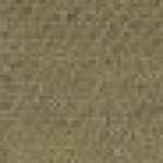Beige Chiaro