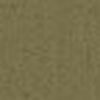 Beige Kaki
