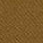 Beige Cammello