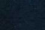 Blu Navy Surfer