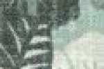 Menta Patchwork