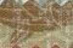 Beige Patchwork