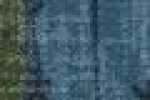 Foglie-Blu Navy*Verde