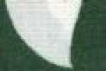 Verde Ibisco