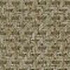Beige Beige