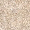 Beige Ecrù Beige Ecrù