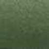 Verde (Per La Colorazione)