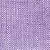 Viola Viola