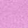 Rosa Rosa