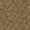 Beige Cammello