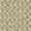 Beige Beige