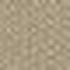 Beige Cammello
