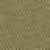 Beige Chino