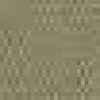Beige Kaki