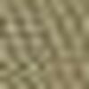 Beige Chino