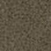 Beige Kaki