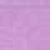 Viola Viola