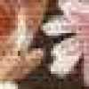Marrone Rosato