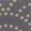 Blu Onda-viola Glicine Blu Onda-viola Glicine