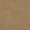 Beige Beige