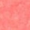 Rosa Salmone