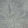 Grigio Chiaro＿