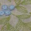 Rosa × Blu Saxe