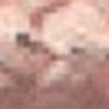 Beige Pesca
